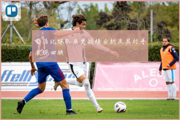 哈马比球队历史战绩分析及其对手表现回顾
