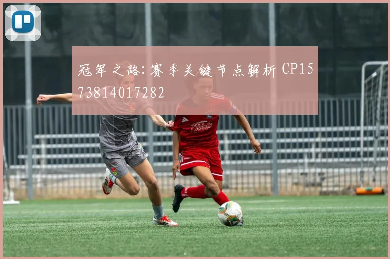冠军之路:赛季关键节点解析 CP1573814017282