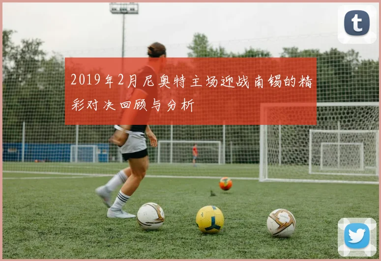 2019年2月尼奥特主场迎战南锡的精彩对决回顾与分析