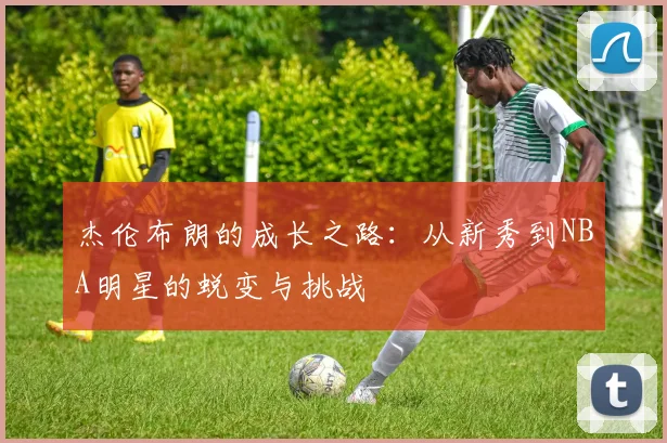 杰伦布朗的成长之路：从新秀到NBA明星的蜕变与挑战