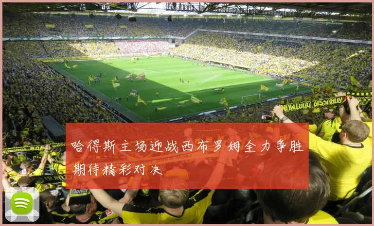 哈得斯主场迎战西布罗姆全力争胜期待精彩对决