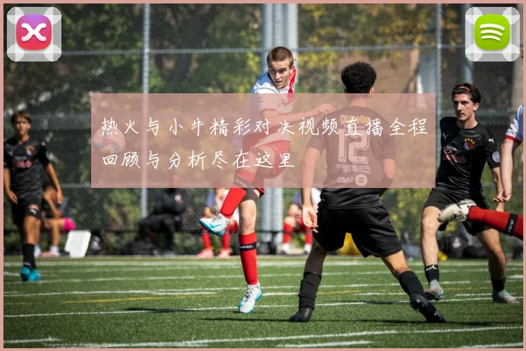 热火与小牛精彩对决视频直播全程回顾与分析尽在这里