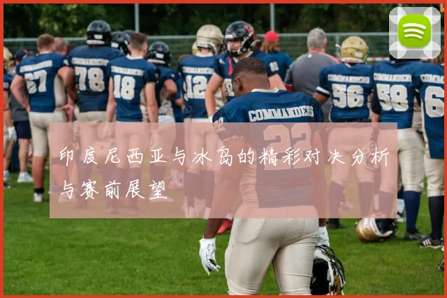 印度尼西亚与冰岛的精彩对决分析与赛前展望