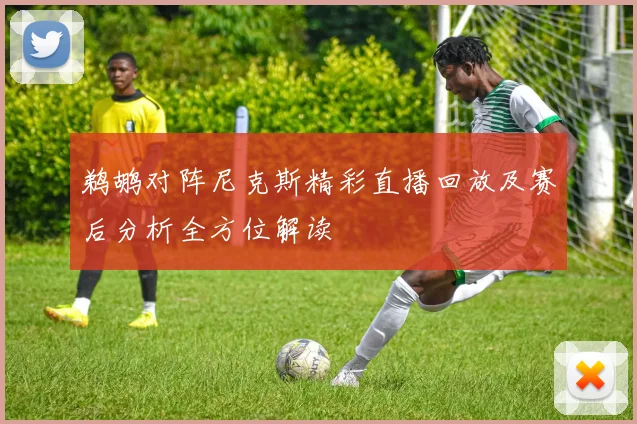 鹈鹕对阵尼克斯精彩直播回放及赛后分析全方位解读