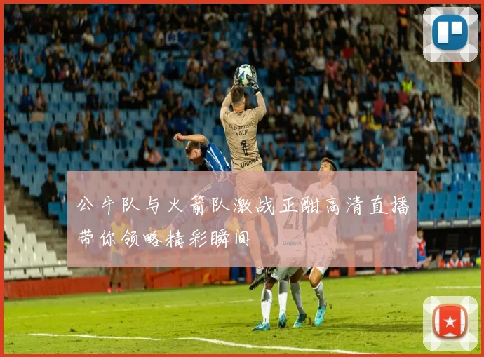 公牛队与火箭队激战正酣高清直播带你领略精彩瞬间