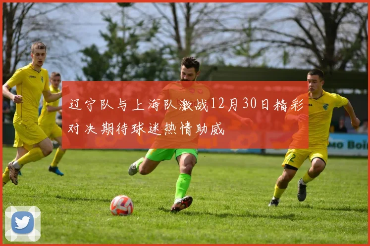 辽宁队与上海队激战12月30日精彩对决期待球迷热情助威