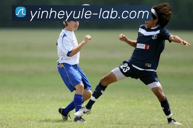 数据防护可视化